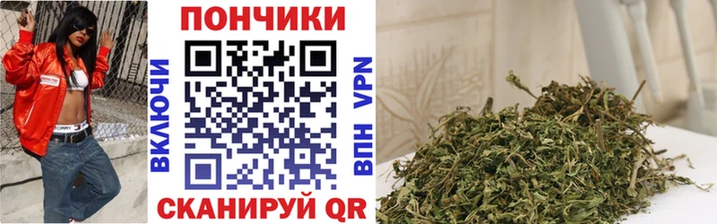 Марихуана сатива Темников
